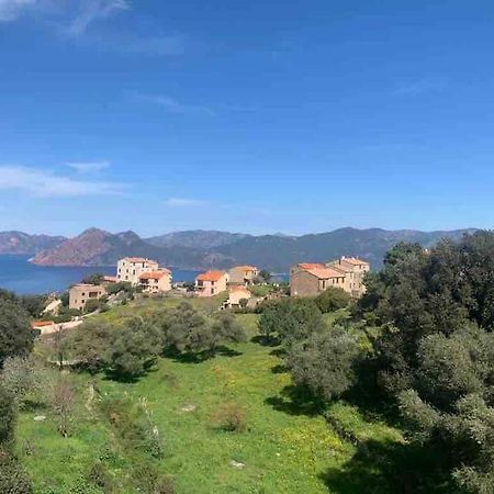 Appartement De Standing Piana Piana  Dış mekan fotoğraf