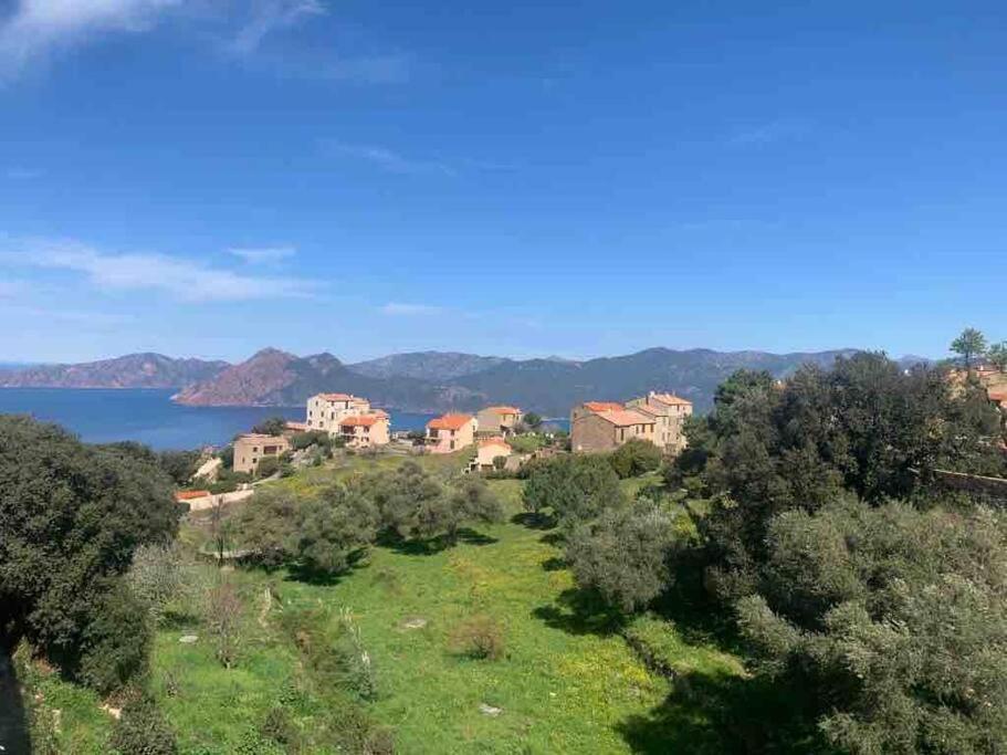 Appartement De Standing Piana Piana  Dış mekan fotoğraf